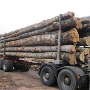 Hêtre en grume – Camion de 50 stères – 1 350€ TTC